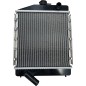 Radiatore Acqua (Non Originale) CH2610301001