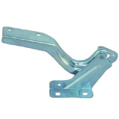 Cerniera Cofano destro per Nissan Micra (K13) DS0143703