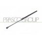 Molla A Gas destro/Sinistro Portellone posteriore (355N L.517MM) per Nissan Qashqai DS7109055