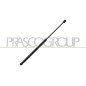 Molla A Gas destro/Sinistro Portellone posteriore (425N L.530MM) per Nissan Qashqai DS7129055