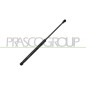Molla A Gas destro/Sinistro Portellone posteriore (350N L.405MM) per Chevrolet-Daewoo Matiz DW3249055