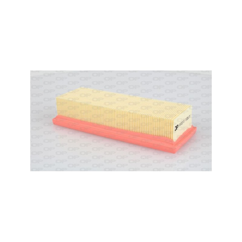 Filtro Aria EAF3005.10