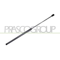 Molla A Gas destro/Sinistro Portellone posteriore (325N L.578MM) per Ford Fiesta (MK4) FD0509055 - 64-FD0509055 -