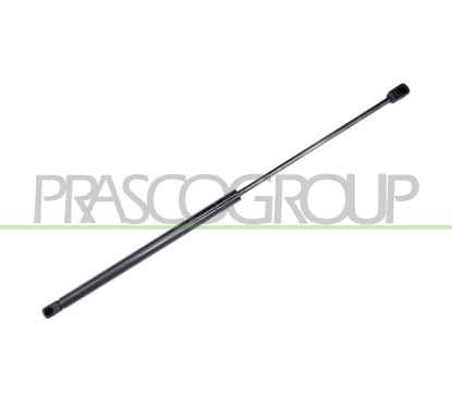 Molla A Gas destro/Sinistro Portellone posteriore (325N L.578MM) per Ford Fiesta (MK4) FD0509055