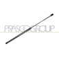 Molla A Gas destro/Sinistro Portellone posteriore (325N L.578MM) per Ford Fiesta (MK4) FD0509055