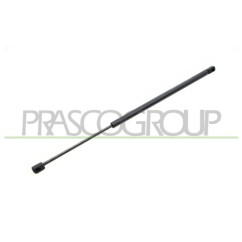 Molla A Gas Portellone posteriore destro/Sinistro per Ford Fiesta (MK5) FD3409055