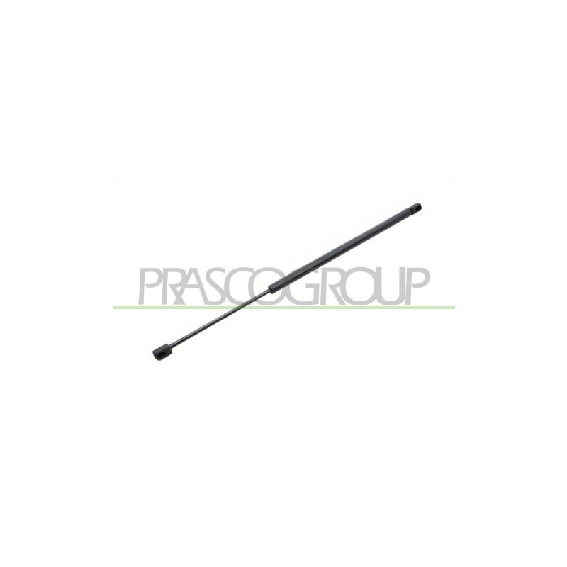 Molla A Gas Portellone posteriore destro/Sinistro per Ford Fiesta (MK5) FD3409055