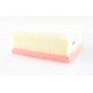 Filtro Aria EAF3665.10