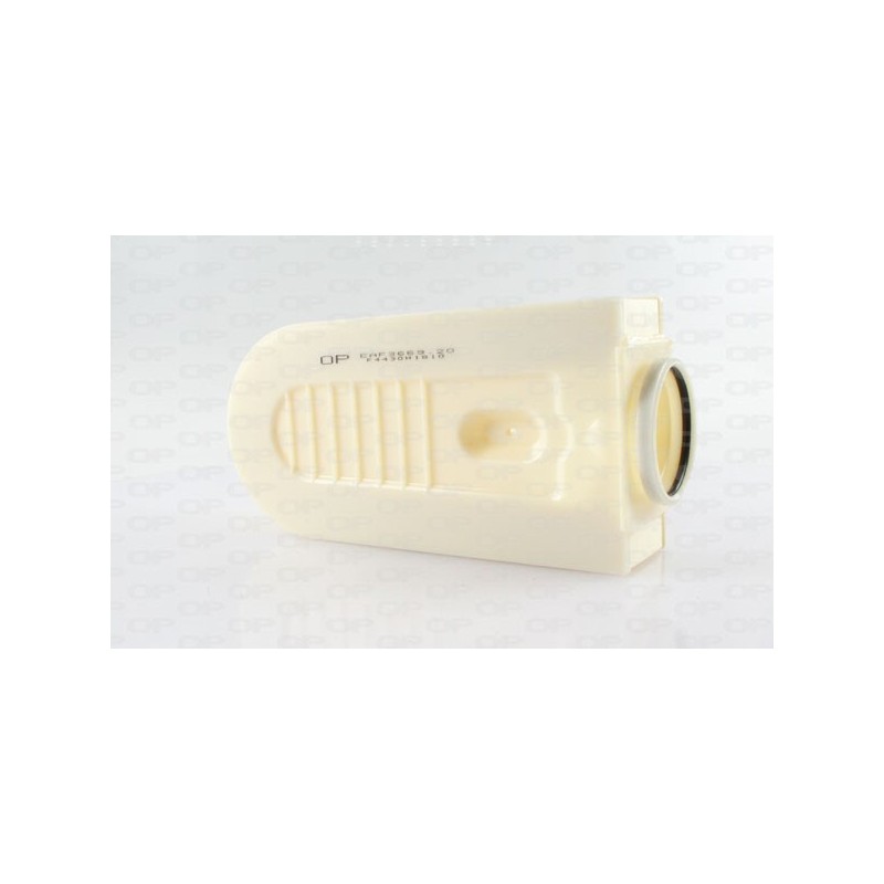 Filtro Aria EAF3669.20