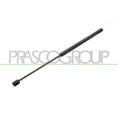 Molla A Gas destro/Sinistro Portellone posteriore (Mod. -02/01) (550N L.512MM) per Ford Focus FD4209055 - 64-FD4209055 -