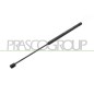 Molla A Gas destro/Sinistro Portellone posteriore (Mod. -02/01) (550N L.512MM) per Ford Focus FD4209055