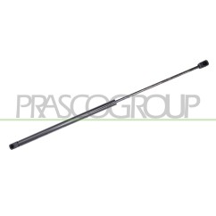 Molla A Gas Portellone posteriore destro/Sinistro per Ford Focus FD4289055