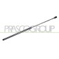 Molla A Gas Portellone posteriore destro/Sinistro per Ford Focus FD4289055