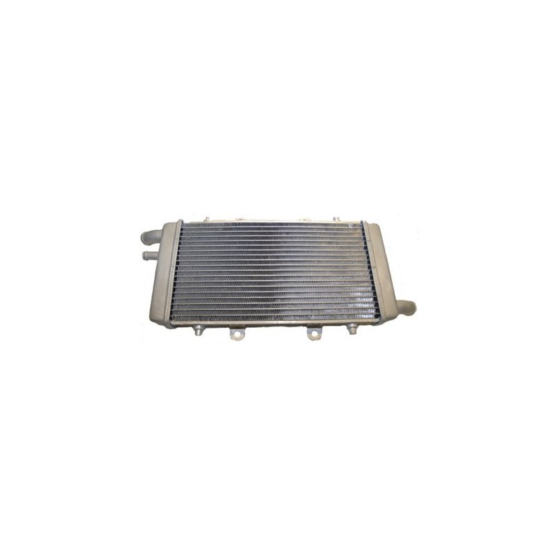 Radiatore Acqua (Non Originale) GRE103001101