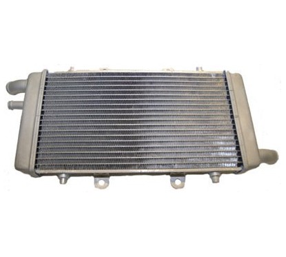 Radiatore Acqua (Non Originale) GRE103001101 - 60-GRE103001101 - 60-GRE103001101