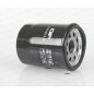 Filtro Olio EOF4074.20