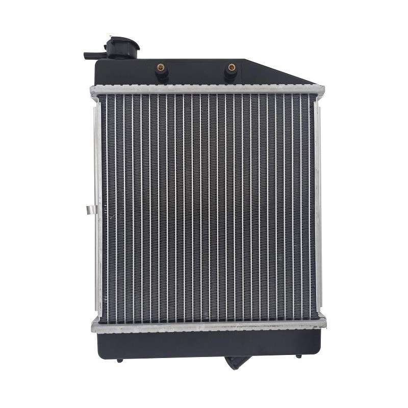 Radiatore (Non Originale) JDM103001001