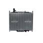 Radiatore Land Rover 59304