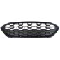 Griglia Radiatore Nera per Ford Focus FD4332011