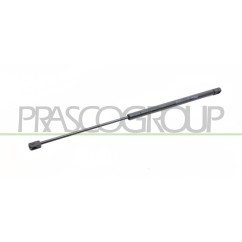 Molla A Gas destro/Sinistro Portellone posteriore (460N L.570MM) per Bmw X1 (E84), Ford C-Max e Focus FD7179055 -
