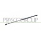 Molla A Gas destro/Sinistro Portellone posteriore (460N L.570MM) per Bmw X1 (E84), Ford C-Max e Focus FD7179055