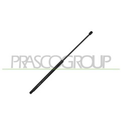 Molla A Gas Portellone posteriore destro/Sinistro per Ford Kuga FD8029055