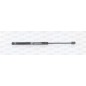 Molla A Gas Portellone posteriore destro/Sinistro per Renault Megane GSR6161.00