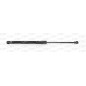 Molla A Gas Portellone posteriore destro/Sinistro per Chevrolet-Daewoo Matiz GSR6452.00