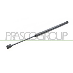 Molla A Gas destro/Sinistro Portellone posteriore (480N L.451MM) per Fiat 500X (334), 500X (Cross/Trekking) e Doblo