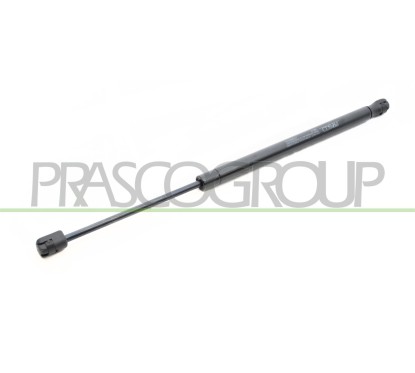 Molla A Gas destro/Sinistro Portellone posteriore (480N L.451MM) per Fiat 500X (334), 500X (Cross/Trekking) e Doblo FT0609055