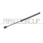 Molla A Gas destro/Sinistro Portellone posteriore (480N L.451MM) per Fiat 500X (334), 500X (Cross/Trekking) e Doblo FT0609055