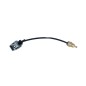 Sensore Temperatura Liquido Refrigerante Ford 727036