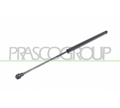 Molla A Gas destro/Sinistro Portellone posteriore (Mod. Sw -09/02) (570N L.520MM) per Fiat Palio (178) e Palio-Albea FT1139015
