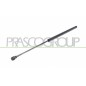 Molla A Gas destro/Sinistro Portellone posteriore (Mod. Sw -09/02) (570N L.520MM) per Fiat Palio (178) e Palio-Albea FT1139015