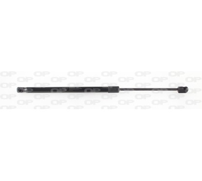 Molla A Gas Portellone posteriore destro/Sinistro per Citroen C4 GSR6495.00