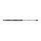 Molla A Gas Portellone posteriore destro/Sinistro per Audi A3 (8V1) e A3 (8VK) GSR6500.00