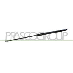 Molla A Gas Portellone posteriore (S/Perno) (390N L.550MM) per Fiat Panda FT1219055 - 64-FT1219055 - 64-FT1219055