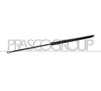 Molla A Gas Portellone posteriore (S/Perno) (390N L.550MM) per Fiat Panda FT1219055