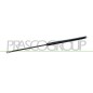 Molla A Gas Portellone posteriore (S/Perno) (390N L.550MM) per Fiat Panda FT1219055