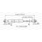 Molla A Gas Portellone posteriore destro/Sinistro per Seat Altea GSR6559.00