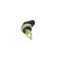 Sensore Temperatura Liquido Refrigerante Mini 727079