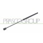 Molla A Gas destro/Sinistro Portellone posteriore (360N L.507MM) per Fiat Bravo (198) FT1389055