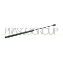 Molla A Gas destro/Sinistro Portellone posteriore (520N L.507MM) per Fiat Multipla (186) e Peugeot 207 FT7159055