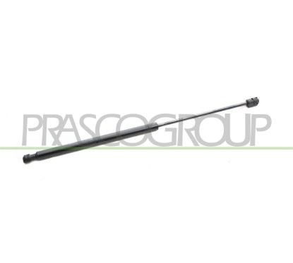Molla A Gas destro/Sinistro Portellone posteriore (520N L.507MM) per Fiat Multipla (186) e Peugeot 207 FT7159055