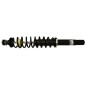 Ammortizzatore anteriore (Non Originale) 004 RDM004
