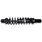 Ammortizzatore anteriore (Non Originale) 005 RDM005