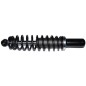 Ammortizzatore anteriore (Non Originale) 006 RDM006
