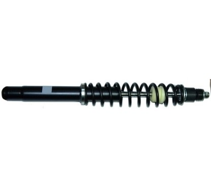 Ammortizzatore anteriore (Non Originale) 020 RDM020 - 60-RDM020 - 60-RDM020