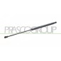 Molla A Gas destro/Sinistro Portellone posteriore (320N L.486MM) per Lancia Y (840A) LA0019055