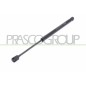Molla A Gas destro/Sinistro Portellone posteriore (Mod. Sw) (560N L.384MM) per Lancia Lybra (839Ax_Bx) LA4209055